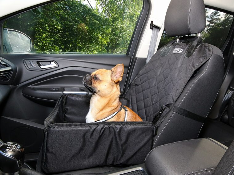 Booking a ferry with a pet: charges, paperwork and the rules that matter