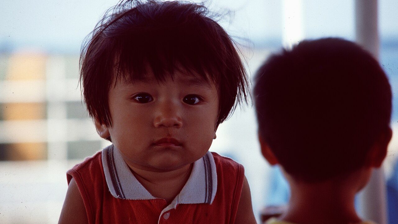 Ferry travel with children: cabins, queues and the boredom problem