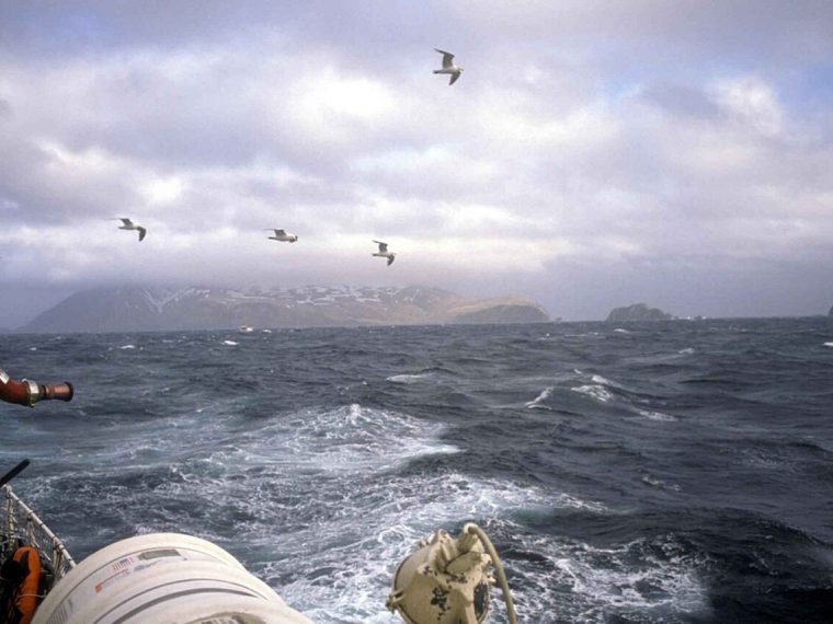 Crossing the Channel in winter: weather, timetables and flexibility